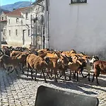 Casa Na Serra, Casa vacanze Sabugueiro (Guarda)