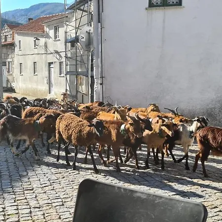 Casa Na Serra, Nyaraló Sabugueiro