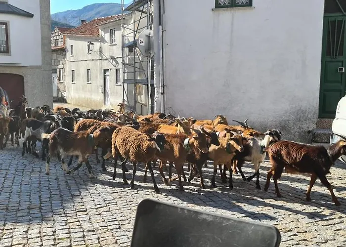 Casa Na Serra, Casa de Férias Sabugueiro (Guarda)